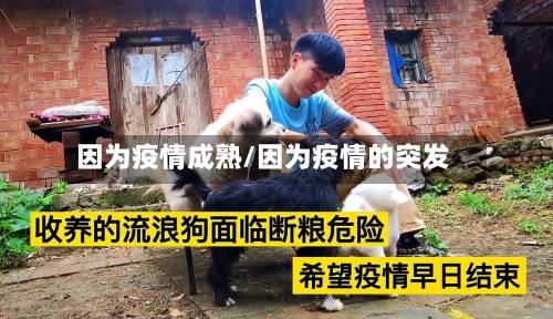 因为疫情成熟/因为疫情的突发