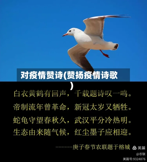 对疫情赞诗(赞扬疫情诗歌)