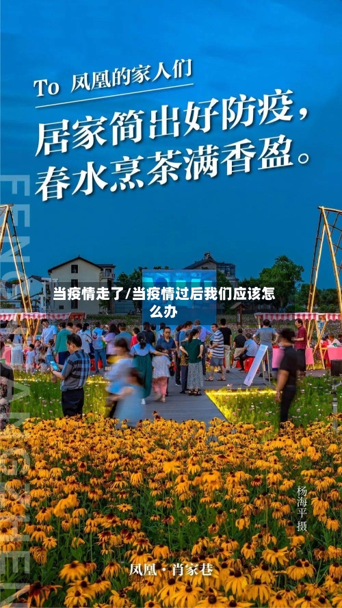 当疫情走了/当疫情过后我们应该怎么办