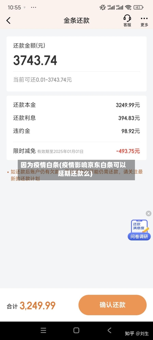 因为疫情白条(疫情影响京东白条可以延期还款么)-第3张图片