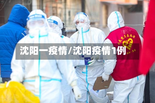 沈阳一疫情/沈阳疫情1例