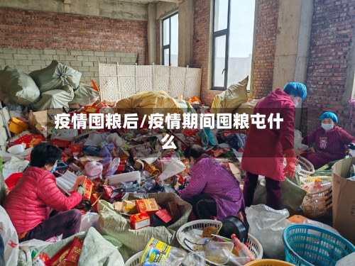 疫情囤粮后/疫情期间囤粮屯什么