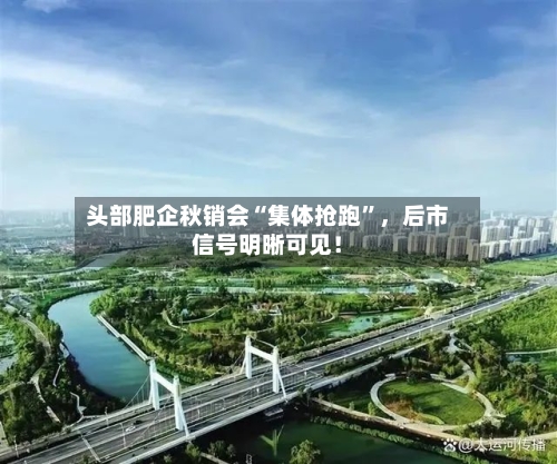 头部肥企秋销会“集体抢跑”	，后市信号明晰可见！-第3张图片