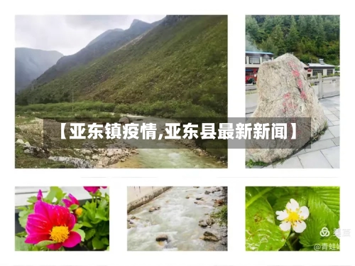 【亚东镇疫情,亚东县最新新闻】-第2张图片
