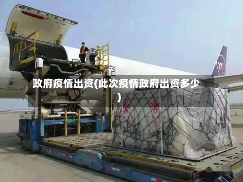 政府疫情出资(此次疫情政府出资多少)