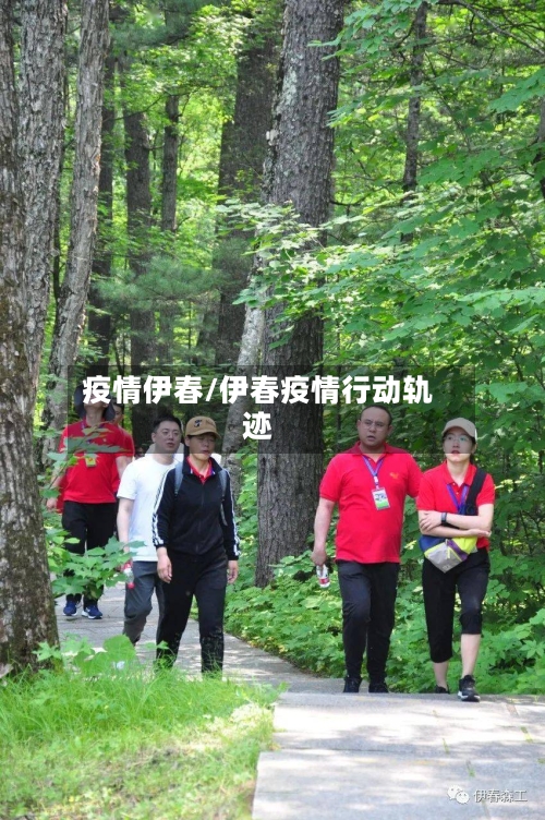 疫情伊春/伊春疫情行动轨迹