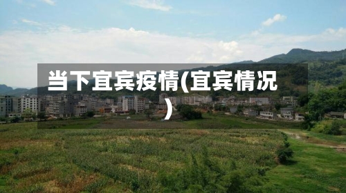 当下宜宾疫情(宜宾情况)