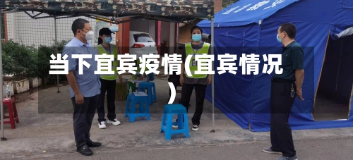 当下宜宾疫情(宜宾情况)-第2张图片