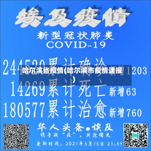 哈尔滨省疫情(哈尔滨市疫情速报)-第2张图片
