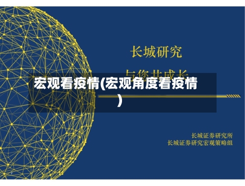 宏观看疫情(宏观角度看疫情)