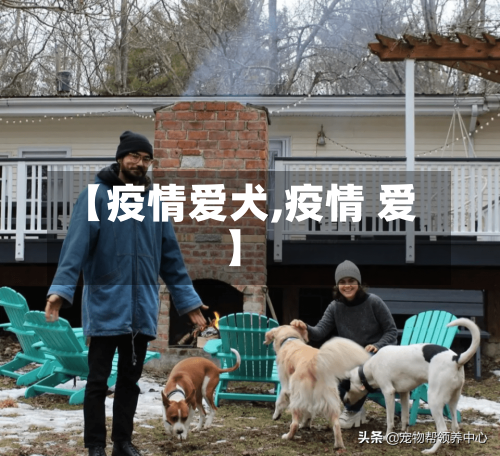 【疫情爱犬,疫情 爱】