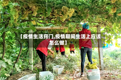 【疫情生活窍门,疫情期间生活上应该怎么做】
