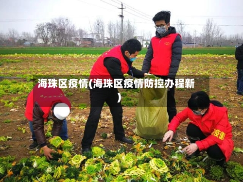 海珠区疫情(海珠区疫情防控办程新)-第2张图片