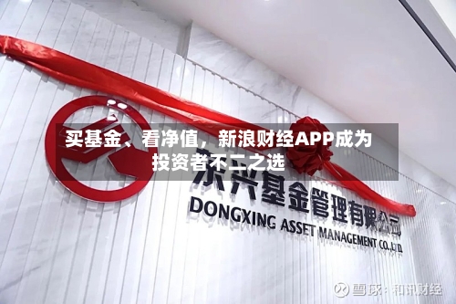 买基金	、看净值，新浪财经APP成为投资者不二之选-第2张图片