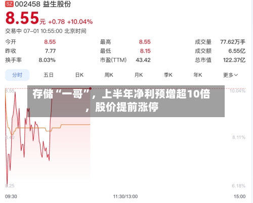 存储“一哥”，上半年净利预增超10倍	，股价提前涨停-第2张图片