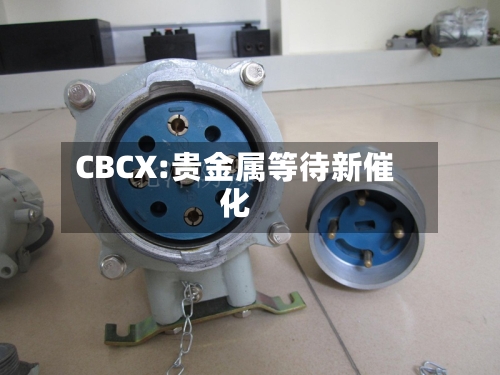 CBCX:贵金属等待新催化