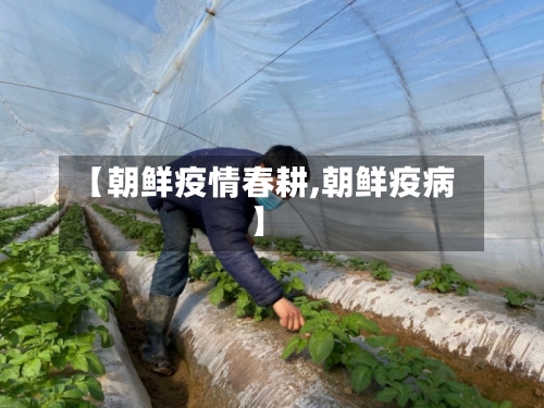 【朝鲜疫情春耕,朝鲜疫病】-第2张图片