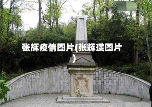 张辉疫情图片(张辉瓒图片)-第2张图片