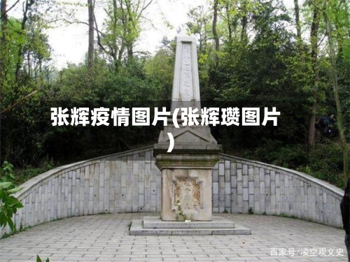 张辉疫情图片(张辉瓒图片)