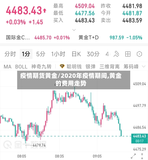 疫情期货黄金/2020年疫情期间,黄金的费用走势