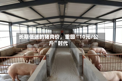 长期低迷的猪肉价，重回“10元/公斤”时代-第3张图片