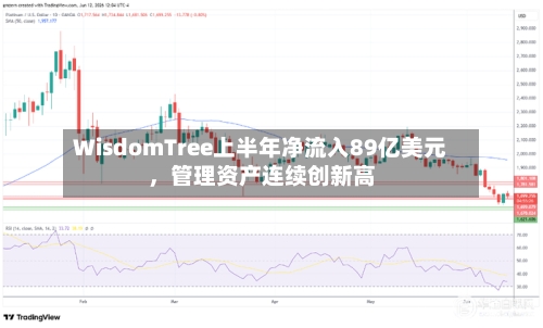 WisdomTree上半年净流入89亿美元，管理资产连续创新高-第2张图片