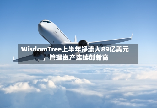 WisdomTree上半年净流入89亿美元，管理资产连续创新高-第3张图片