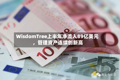 WisdomTree上半年净流入89亿美元，管理资产连续创新高