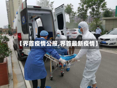 【界首疫情公报,界首最新疫情】