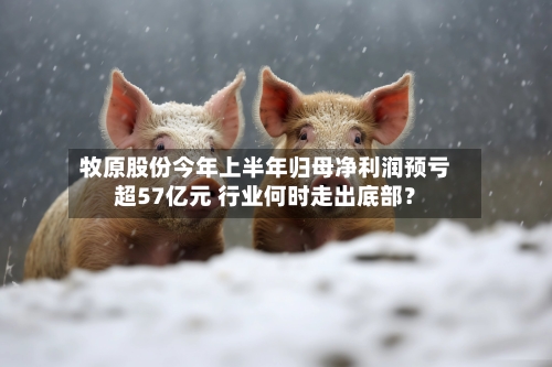 牧原股份今年上半年归母净利润预亏超57亿元 行业何时走出底部？-第2张图片