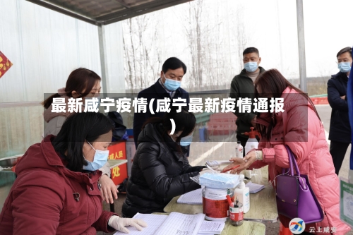 最新咸宁疫情(咸宁最新疫情通报)-第2张图片