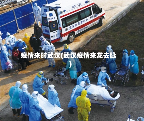 疫情来时武汉(武汉疫情来龙去脉)-第2张图片