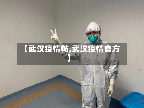 【武汉疫情帖,武汉疫情官方】