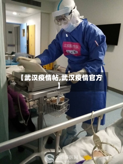 【武汉疫情帖,武汉疫情官方】-第2张图片