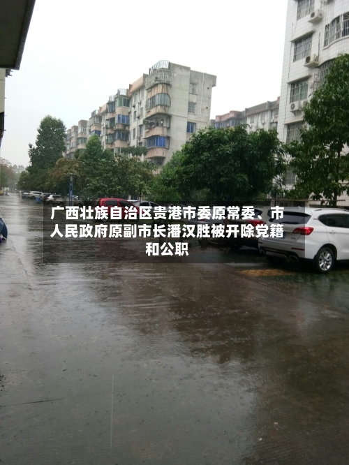 广西壮族自治区贵港市委原常委、市人民政府原副市长潘汉胜被开除党籍和公职