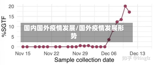 国内国外疫情发展/国外疫情发展形势