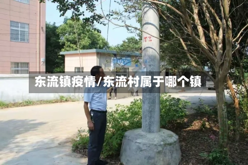 东流镇疫情/东流村属于哪个镇-第2张图片