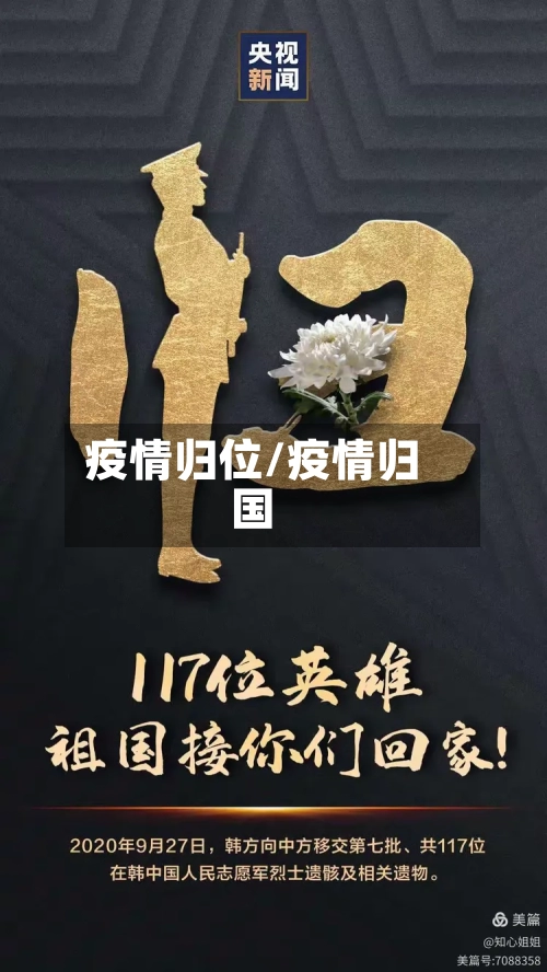 疫情归位/疫情归国-第3张图片