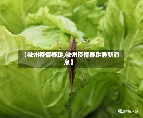 【徽州疫情春耕,徽州疫情春耕最新消息】-第2张图片