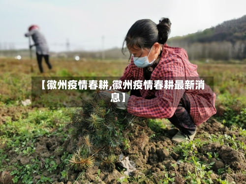 【徽州疫情春耕,徽州疫情春耕最新消息】-第3张图片