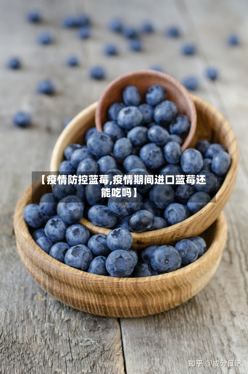 【疫情防控蓝莓,疫情期间进口蓝莓还能吃吗】
