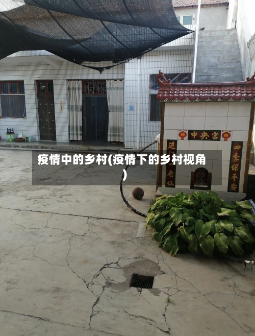 疫情中的乡村(疫情下的乡村视角)-第2张图片