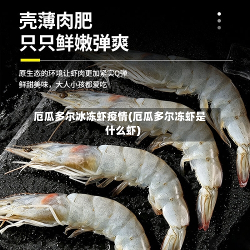 厄瓜多尔冰冻虾疫情(厄瓜多尔冻虾是什么虾)