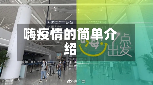嗨疫情的简单介绍-第2张图片