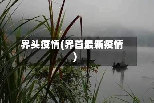 界头疫情(界首最新疫情)-第2张图片