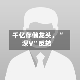 千亿存储龙头，“深V”反转-第3张图片