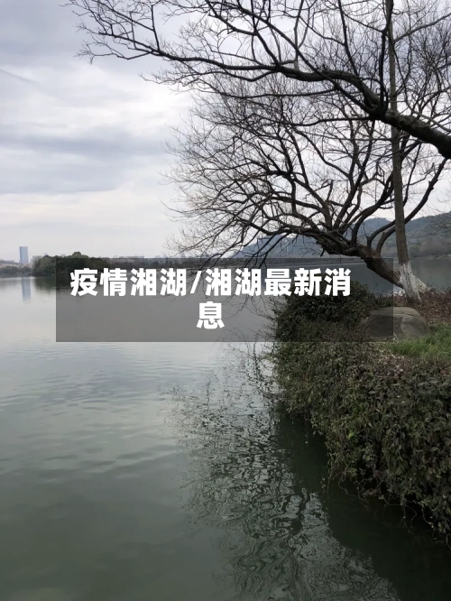 疫情湘湖/湘湖最新消息-第3张图片