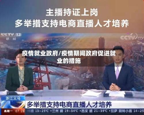 疫情就业政府/疫情期间政府促进就业的措施-第2张图片