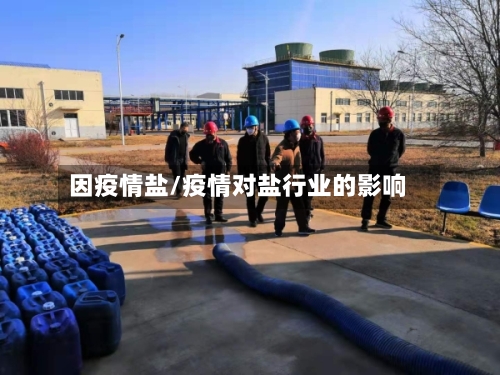 因疫情盐/疫情对盐行业的影响