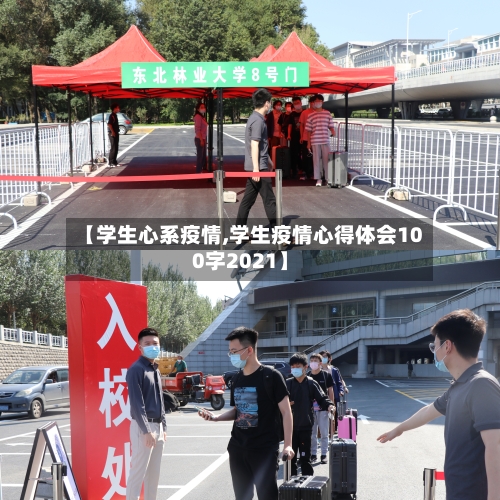 【学生心系疫情,学生疫情心得体会100字2021】
